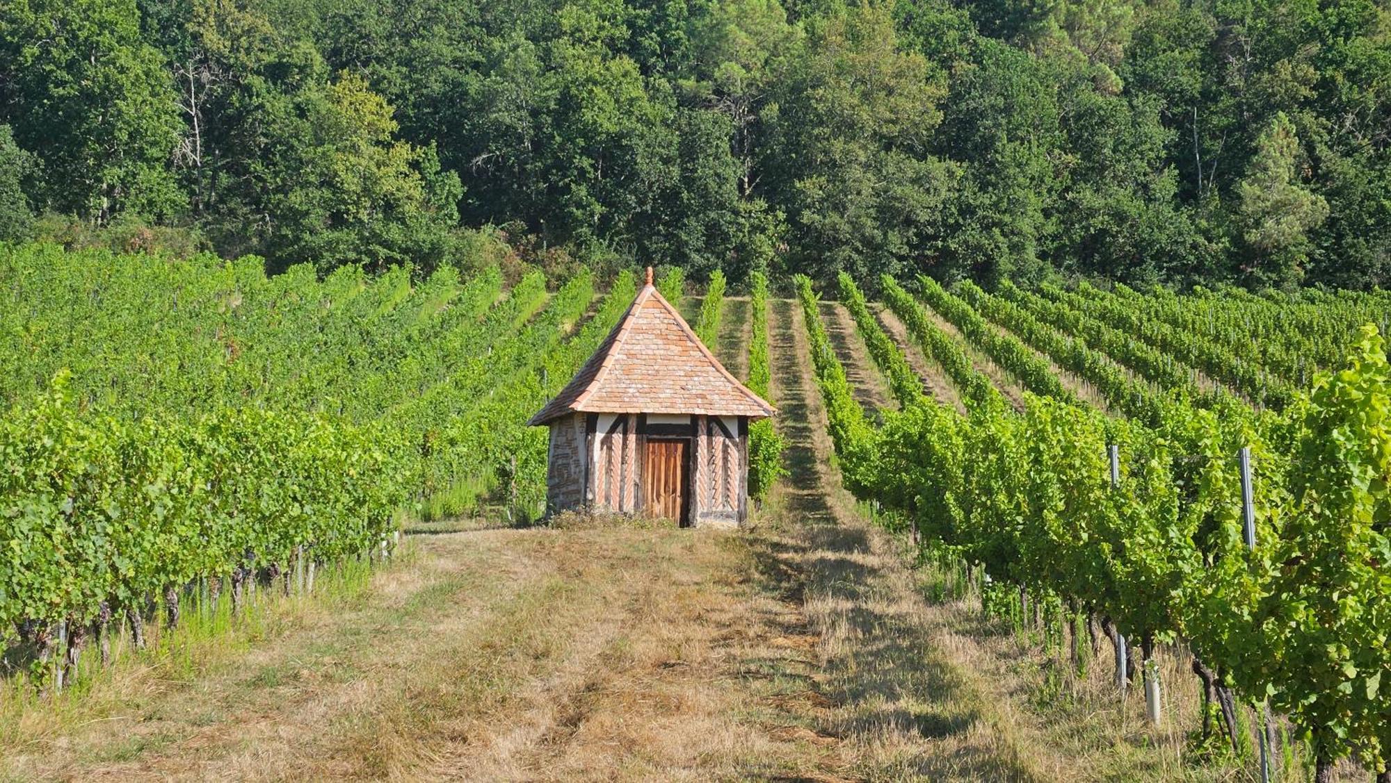 Chambres Et Gites Les Deux Chenes Pres De Bergerac Le Fleix Εξωτερικό φωτογραφία