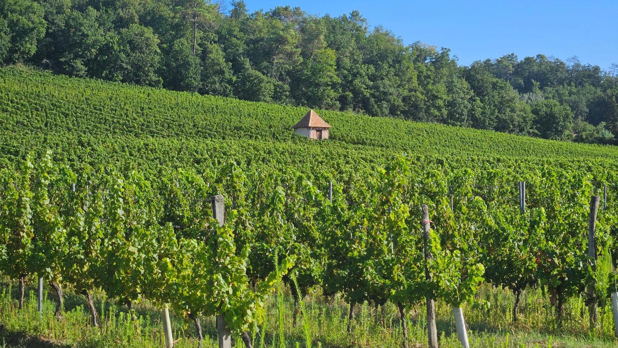 Chambres Et Gites Les Deux Chenes Pres De Bergerac Le Fleix Εξωτερικό φωτογραφία